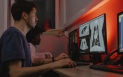 Two specialists reviewing chest scans on radiology monitors